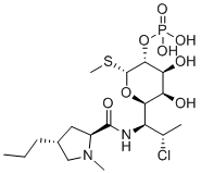 Clindamycin phosphate 24729-96-2